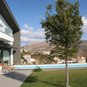 Eξωτερική όψη - Outdoor view