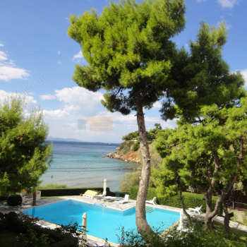 ?????? - ??? . Swimming pool - view