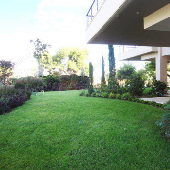 Εξωτερική όψη - Outdoor view