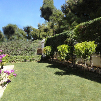 Κήπος - Garden