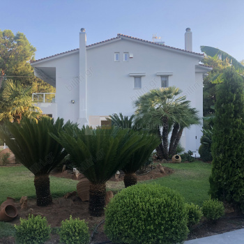 Εξωτερική όψη - Outdoor view