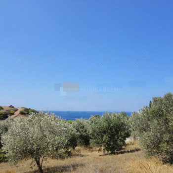 Θέα