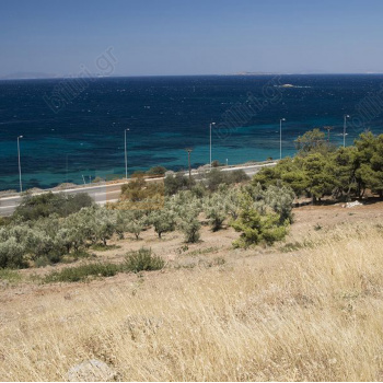 Οικόπεδο - Plot