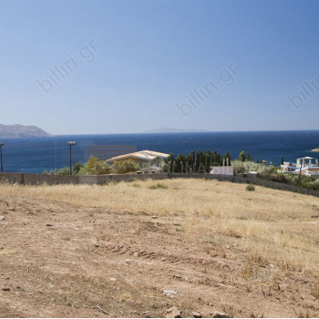 Οικόπεδο