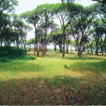 Πάρκο - Park