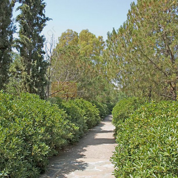 Πάρκο - Park