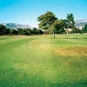 Γκολφ Γλυφάδας - Golf Glyfada