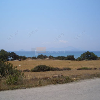 Οικόπεδο - Plot