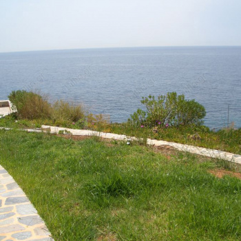 Κήπος