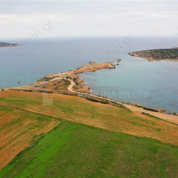 Οικόπεδο