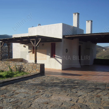 Εξωτερική όψη - Outdoor view
