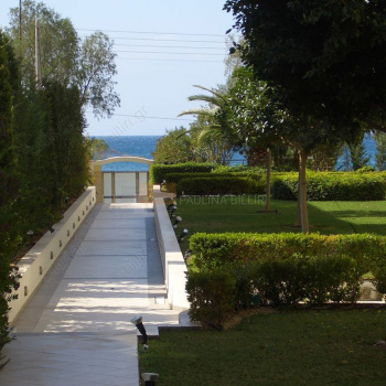 Κήπος - Garden