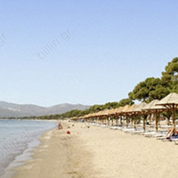 Παραλία - Beach