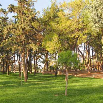 Πάρκο - Park