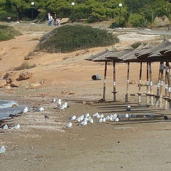 Παραλία - Beach