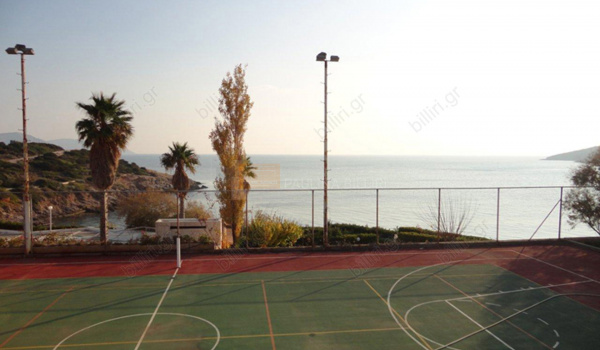 Γήπεδο μπάσκετ - Basketball