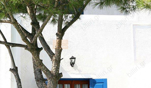 Εξωτερική όψη - Outdoor view