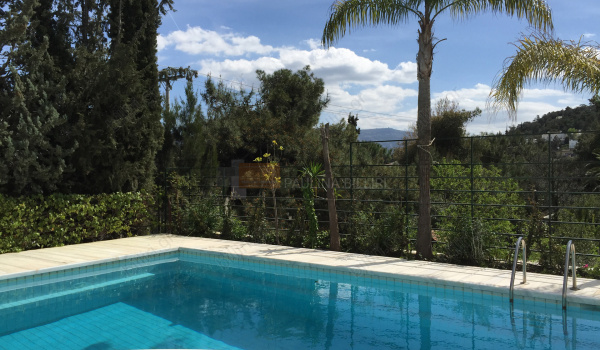 Πισίνα - Swimming pool