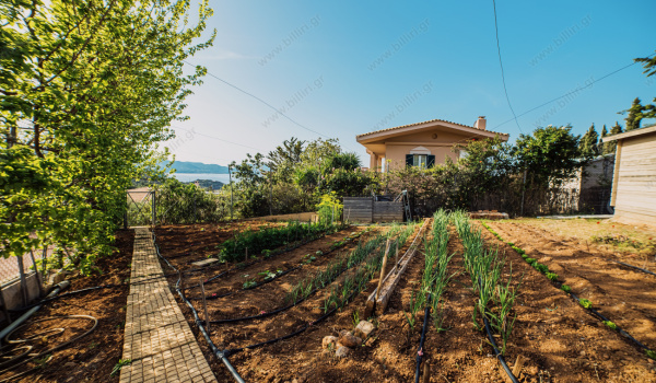 01_vegetable_garden_1