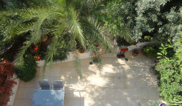 Εξωτερική όψη - Outdoor view