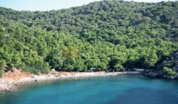 Ύδρα -παραλία . Hydra - beach