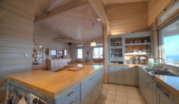 02__level_one_main_kitchen_05