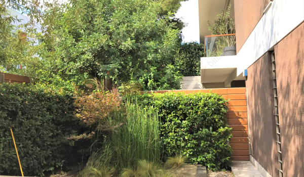 Εξωτερική όψη - Outdoor view