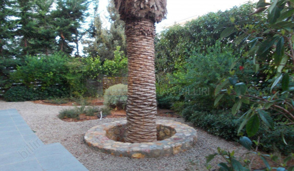 Κήπος - Garden