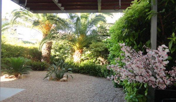 Κήπος - Garden