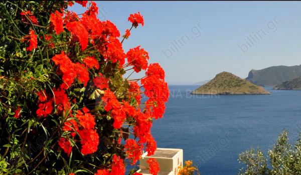 Θέα - View