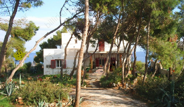 Eξωτερική όψη - Outdoor view
