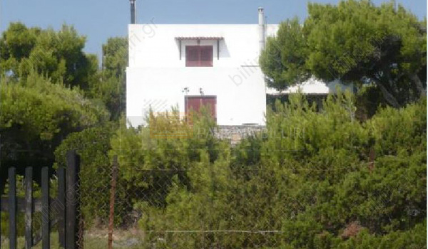 Εξωτερική όψη - Outdoor view