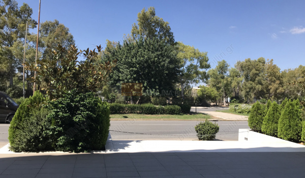 Εξωτερική όψη - Outdoor view