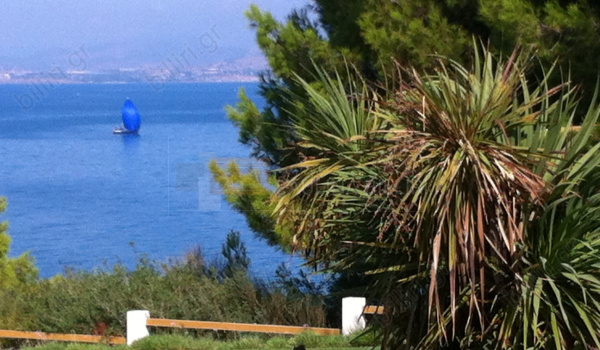 Θέα - View 