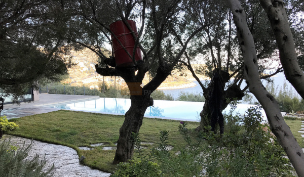Κήπος - Garden