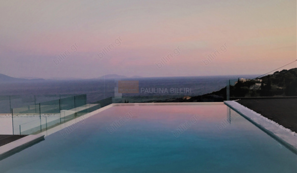 Πισίνα - θέα . Swimming pool - View 