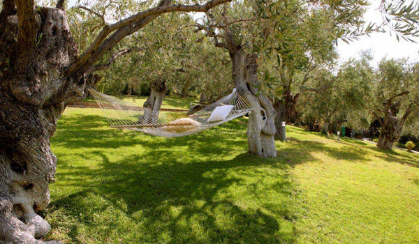 Κήπος - Garden