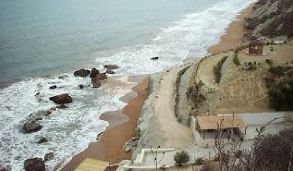 Παραλία - Beach