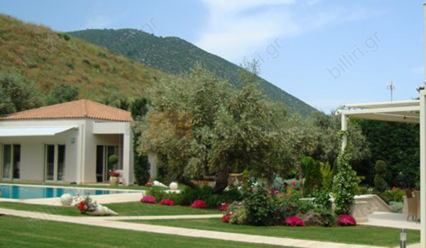 Κήπος - Garden