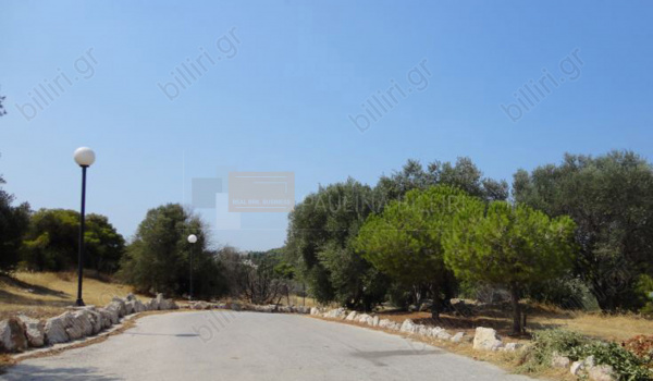 Οικόπεδο - Plot