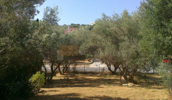 Οικόπεδο - Plot