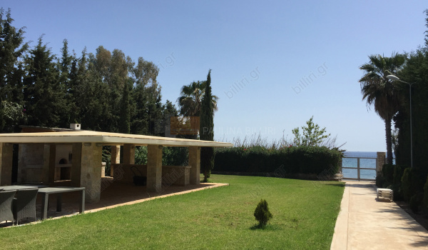 Κήπος - Garden