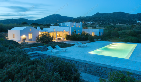 10_256651604
