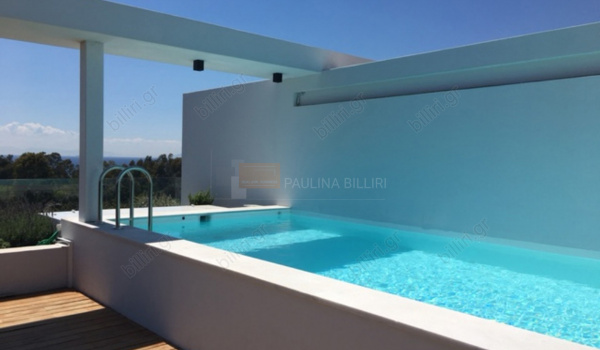 Πισίνα - θέα . Swimming pool - View 