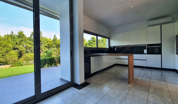 16_kitchen_5_r_1360892656