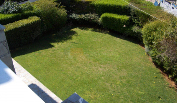 Κήπος - Garden