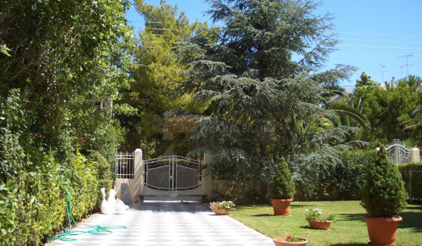 Εξωτερική όψη - Outdoor view