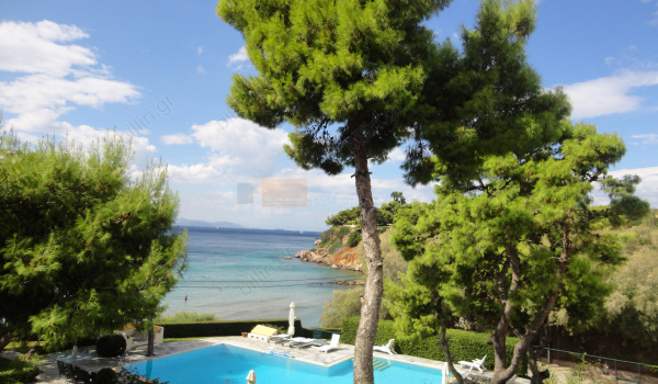 ?????? - ??? . Swimming pool - view