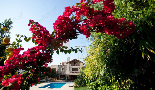 Eξωτερική όψη - Οutdoor view