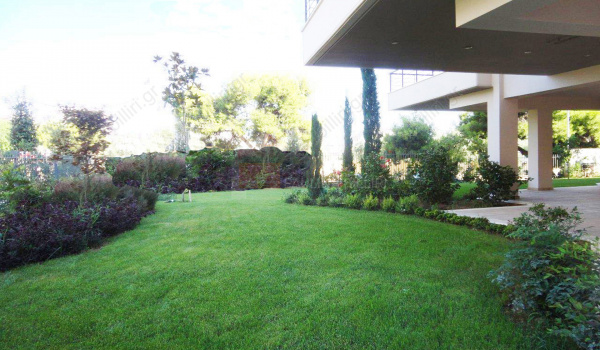 Εξωτερική όψη - Outdoor view